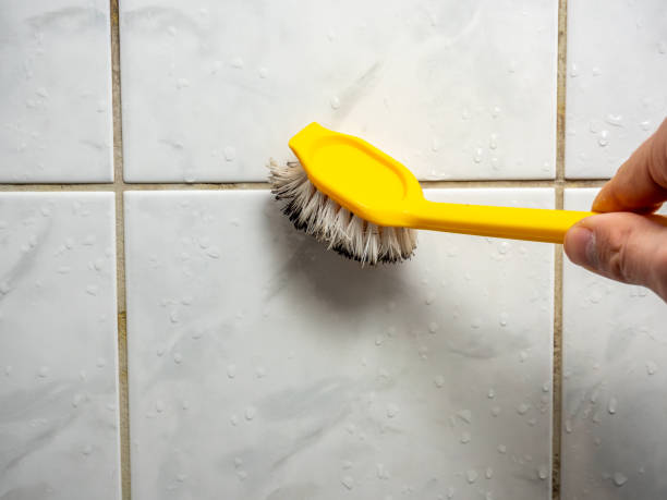 Best Best Mold Removal Companies  in Fletcher, NC