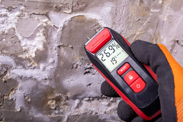 Best Mold Cleaning Services  in Fletcher, NC
