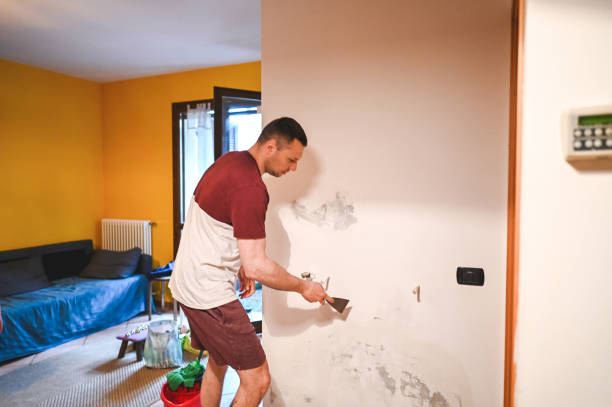Certified Mold Removal in Fletcher, NC